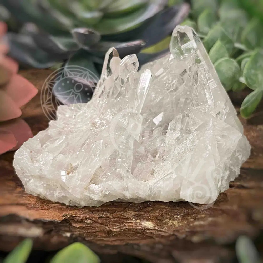 Clear Quartz Cluster - 2.8’ To 4.2’ G 3.2’ X 2.5’ 1.6’ Crystals