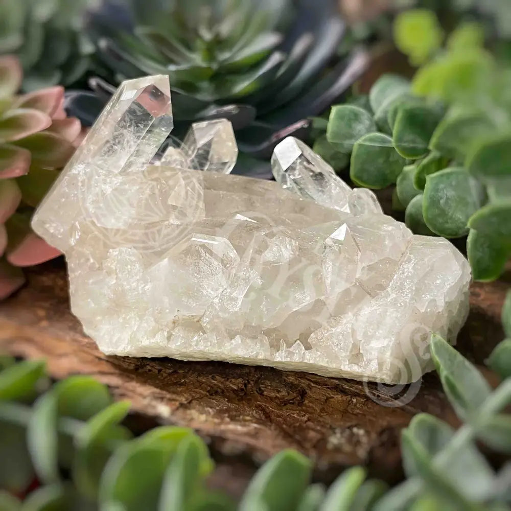 Clear Quartz Cluster - 3.1’ To 4.6’ E 4.3’ X 2.2’ 2’ Crystals