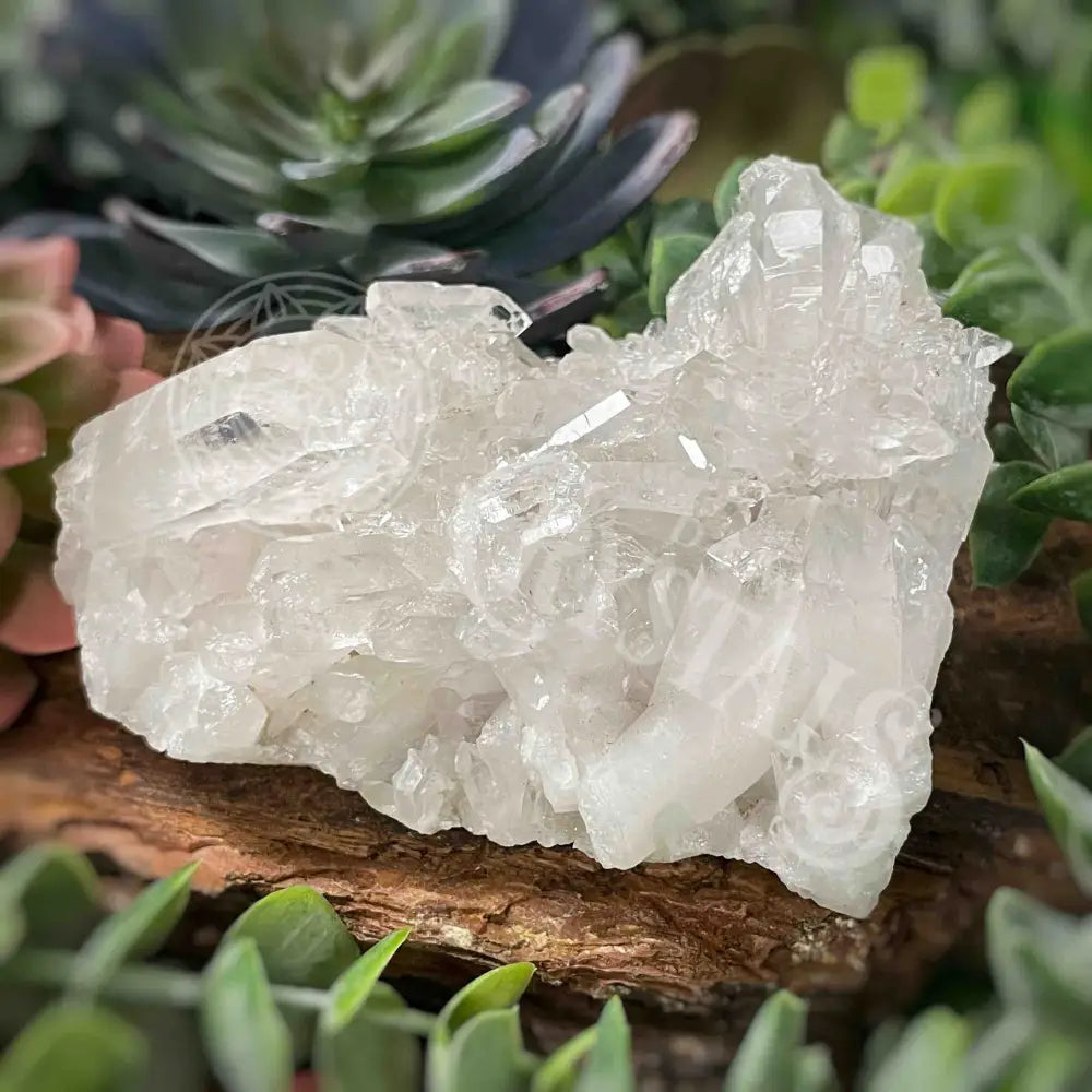 Clear Quartz Cluster - 3.1’ To 4.6’ F 3.7’ X 2.6’ 2.3’ Crystals