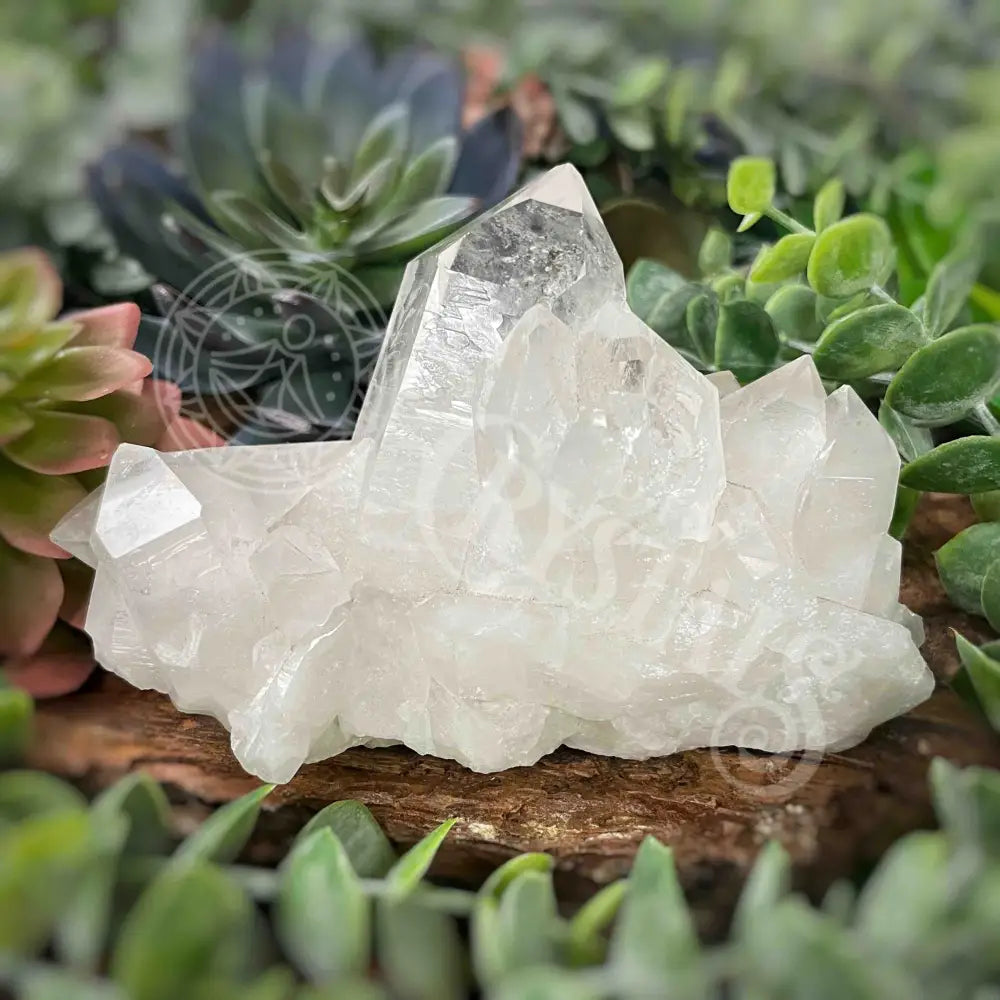 Clear Quartz Cluster - 3.1’ To 4.6’ G X 2.2’ 2.6’ Crystals