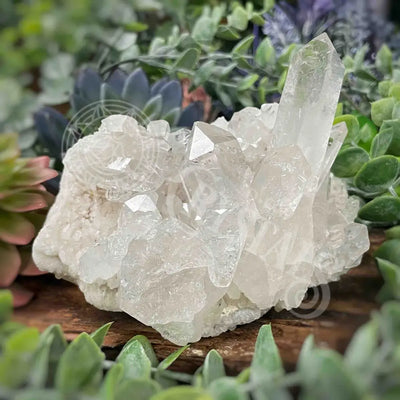 Clear Quartz Cluster - 3.1’ To 4.6’ H 4.5’ X 3.7’ 2.2’ Crystals