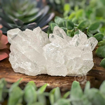 Clear Quartz Cluster - 3.7’ To 4.3’ F 3.8’ X 2.7’ 1.7’ Crystals