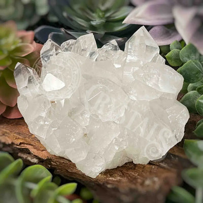 Clear Quartz Cluster - 4.1’ To 6.9’ D X 3.4’ 2.5’ Crystals