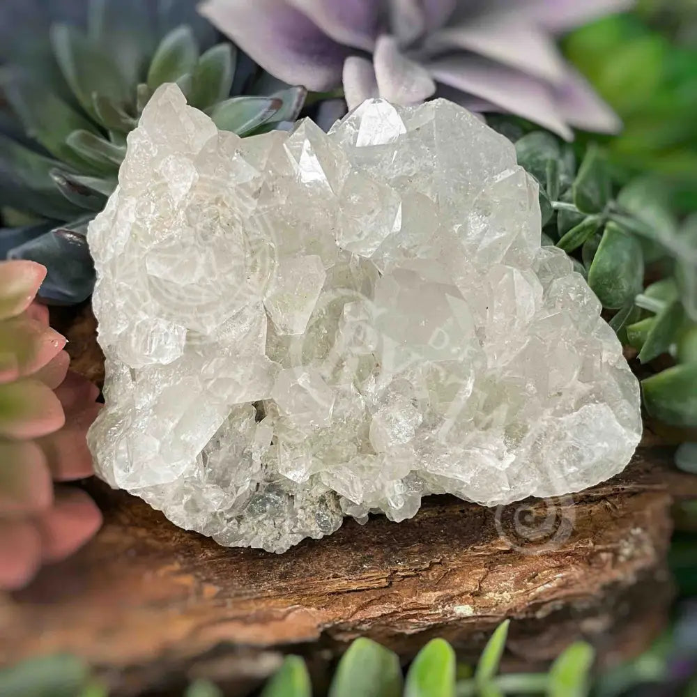 Clear Quartz Cluster - 4.3’ To 5.8’ E X 3.1’ 2.1’ Crystals