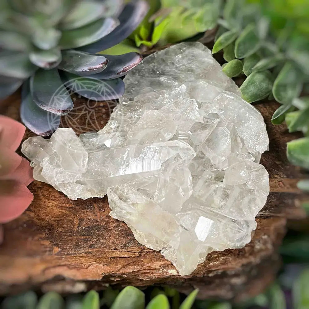 Clear Quartz Cluster - 4.6’ To 5.5’ E X 0.8’ Crystals