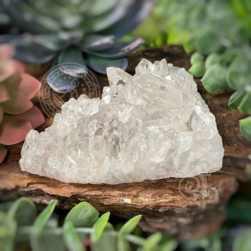 Clear Quartz Cluster - 4.6’ To 5.5’ F X 3’ 1.3’ Crystals