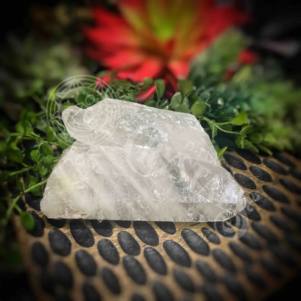 Clear Quartz Cluster - Set1 Z305 3’’ Crystals