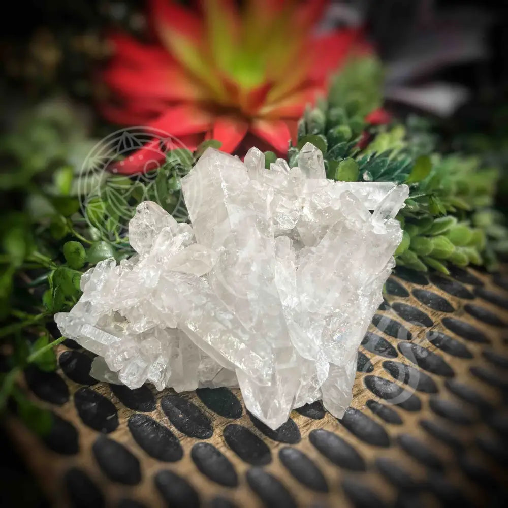 Clear Quartz Cluster - Set1 Z311 3.0’’ Crystals