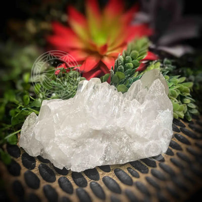 Clear Quartz Cluster - Set1 Z314 3.8’’ Crystals