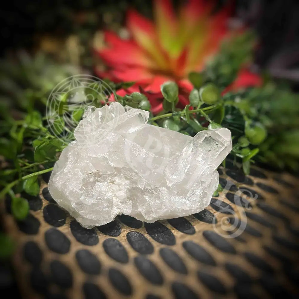 Clear Quartz Cluster - Set2 Z315 2.5’’ Crystals