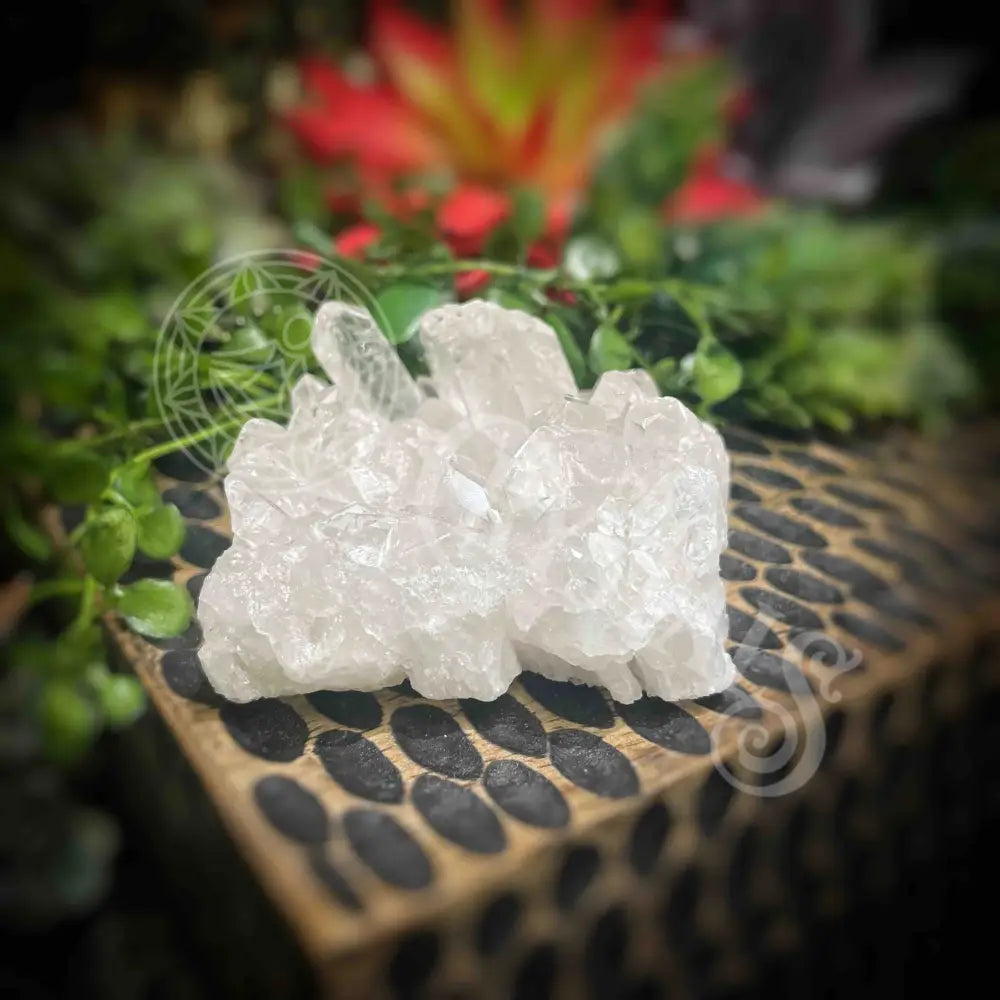 Clear Quartz Cluster - Set2 Z316 2’’ Crystals