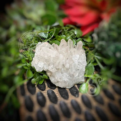 Clear Quartz Cluster - Set2 Z320 1.6’’ Crystals