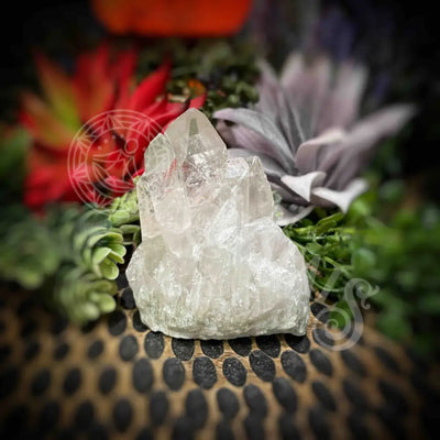 Clear Quartz Cluster - Set2 Z323 2’’ Crystals