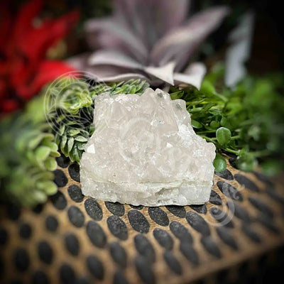 Clear Quartz Cluster - Set2 Z324 2.2’’ Crystals