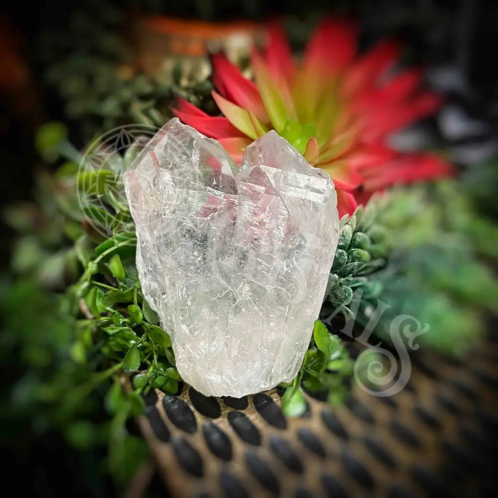 Clear Quartz Cluster - Set3 Z330 3’’ Crystals