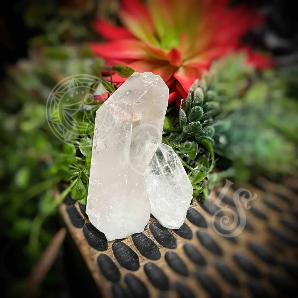 Clear Quartz Cluster - Set3 Z333 1.8’’ Crystals