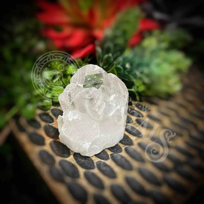 Clear Quartz Cluster - Set3 Z334 1.2’’ Crystals