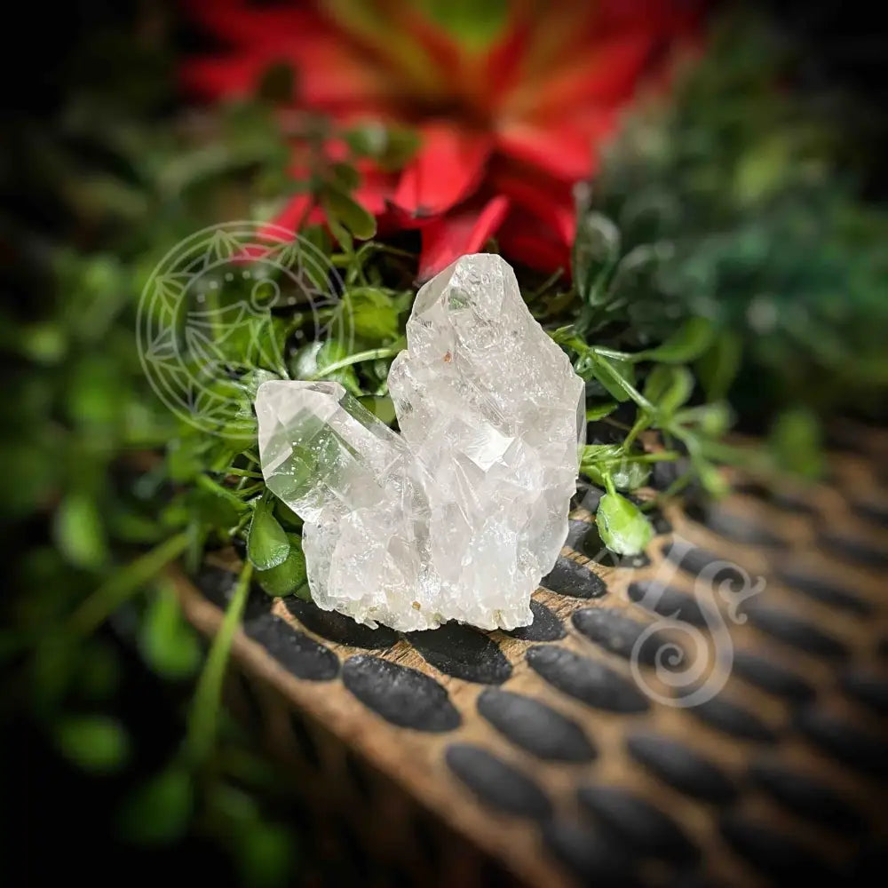 Clear Quartz Cluster - Set4 Z336 1.5’’ Crystals