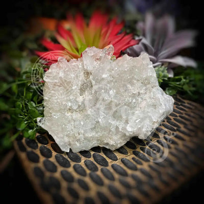 Clear Quartz Cluster - Set4 Z337 4’’ Crystals