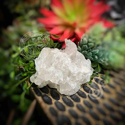 Clear Quartz Cluster - Set4 Z338 2.3’’ Crystals