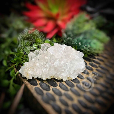 Clear Quartz Cluster - Set5 Z353 2.5’’ Crystals