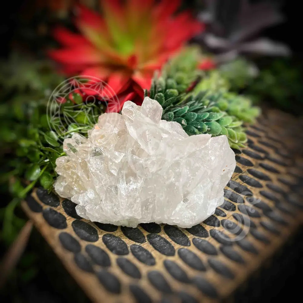 Clear Quartz Cluster - Set6 Z356 3.1’’ Crystals