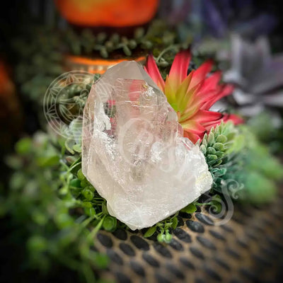 Clear Quartz Cluster - Set6 Z364 2.2’’ Crystals