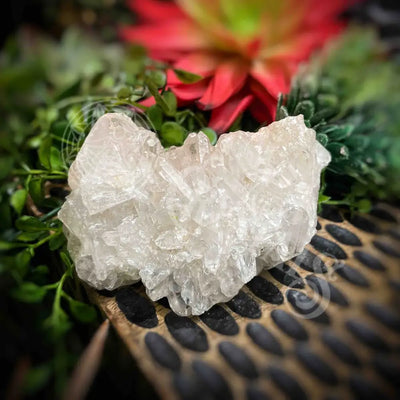 Clear Quartz Cluster - Set7 Z365 3’’ Crystals