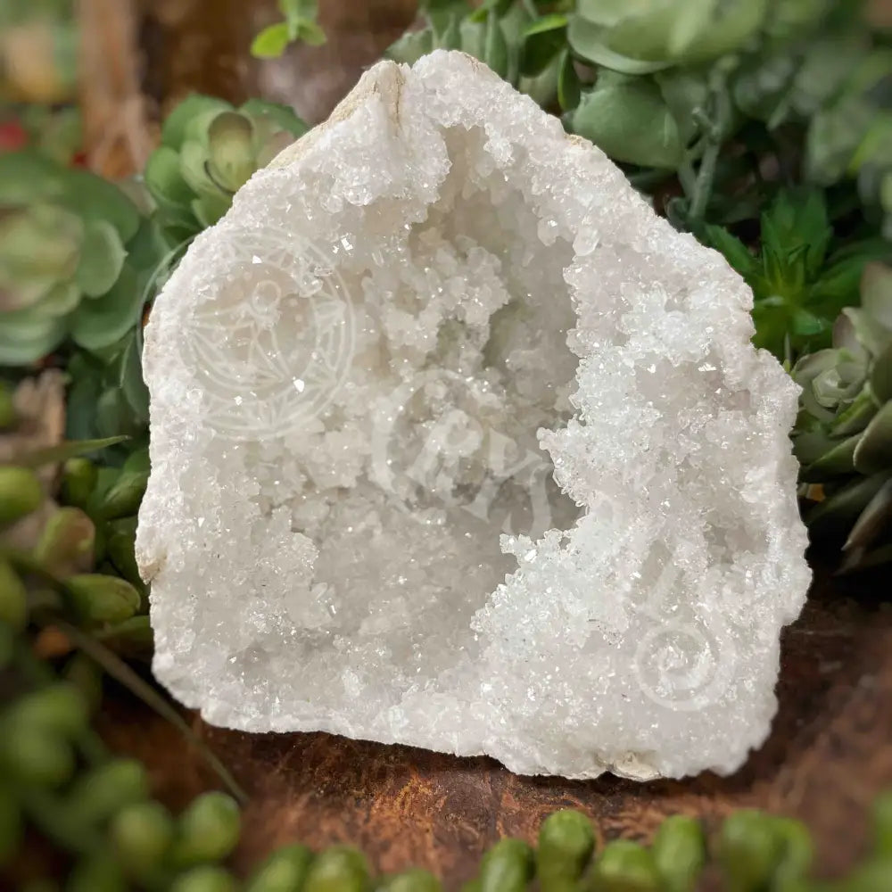 Geode Pieces - Clear Quartz Multi Sizes Xl 4.0’ 6.0’ Crystals Cluster