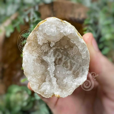 Geode Pieces - Clear Quartz Multi Sizes M 1.75’ 2.4’ Crystals Cluster