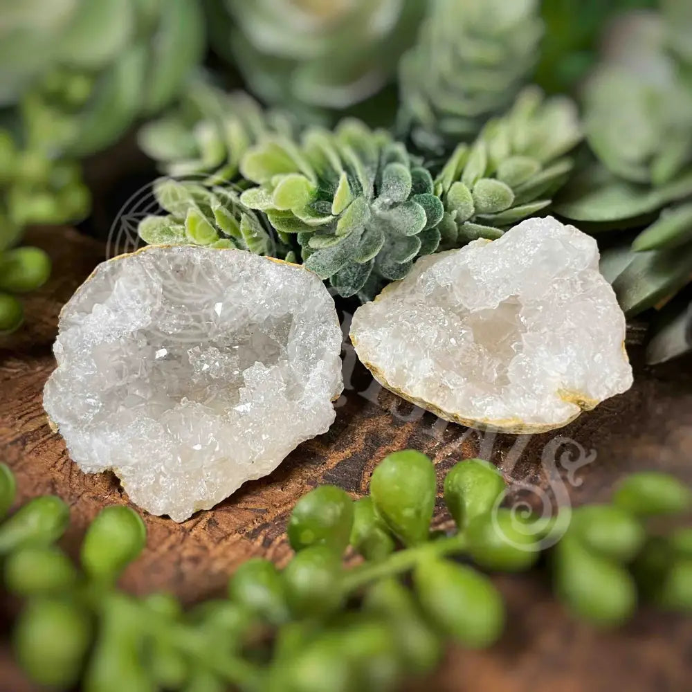 Geode Pieces - Clear Quartz Multi Sizes Xs 1.0’ 1.4’ Crystals Cluster