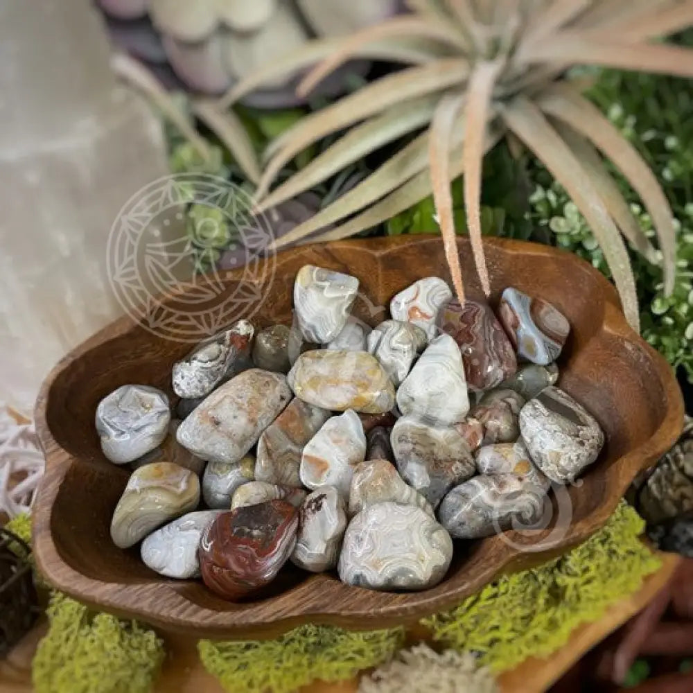 Tumbled - Crazy Lace Agate 0.5 1.25 Crystals