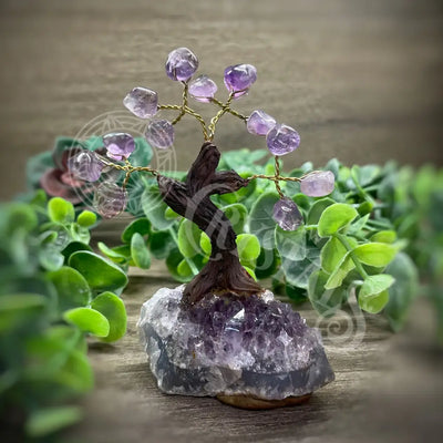 Crystal Tree - Of Life Money Feng Shui Multi Choice 3.5’’ 4.5’’ Amethyst Tree Accessories Trees