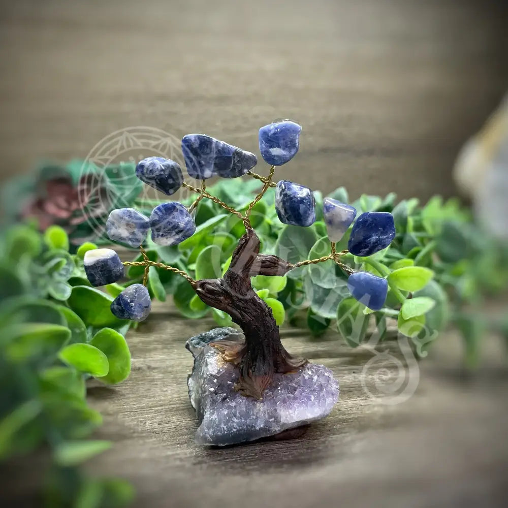 Crystal Tree - Of Life Money Feng Shui Multi Choice 3.5’’ 4.5’’ Sodalite Tree Accessories Trees