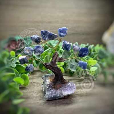 Crystal Tree - Of Life Money Feng Shui Multi Choice 3.5’’ 4.5’’ Sodalite Tree Accessories Trees