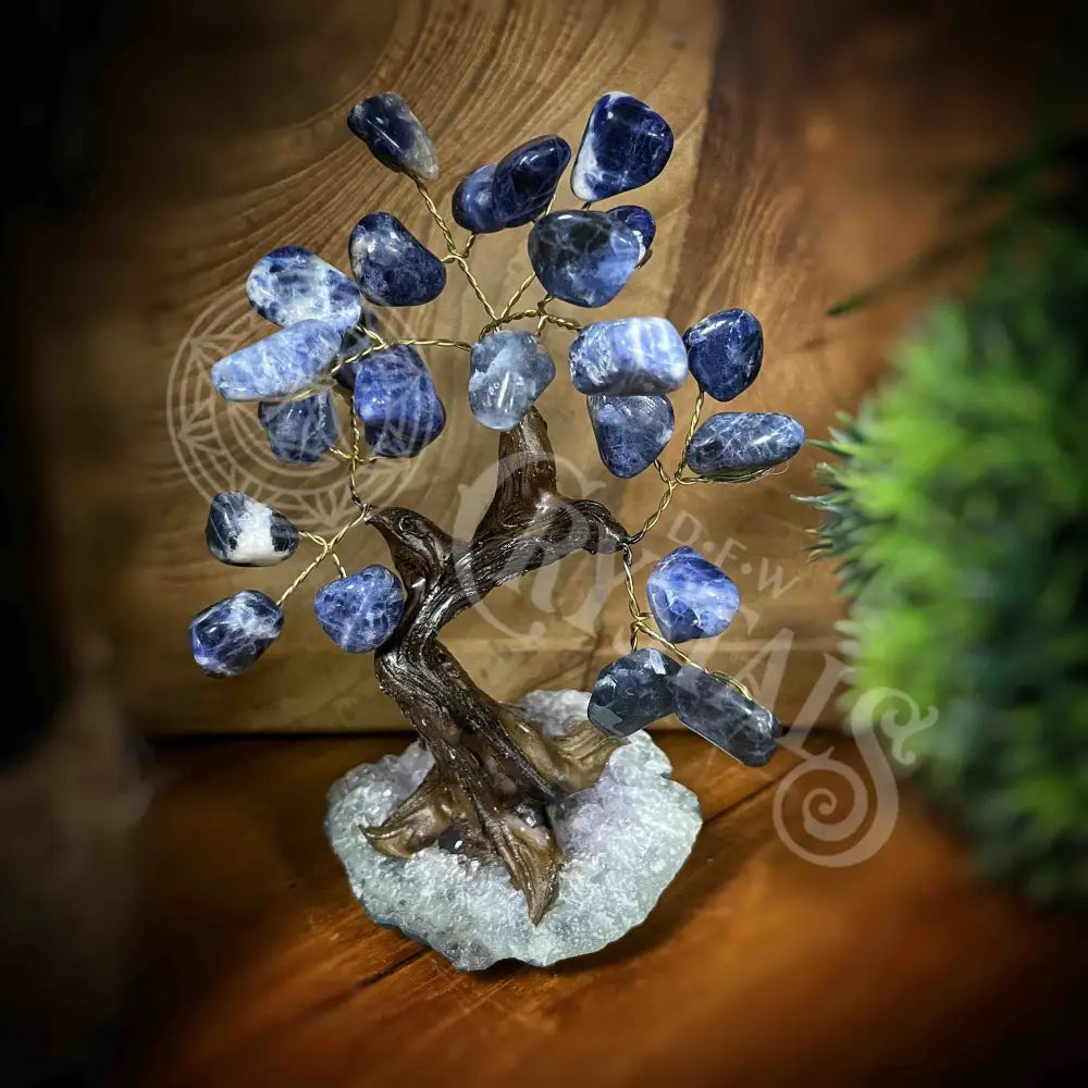 Crystal Tree - Of Life Money Feng Shui Multi Choice 5.0’ 5.9’ Sodalite Accessories Trees