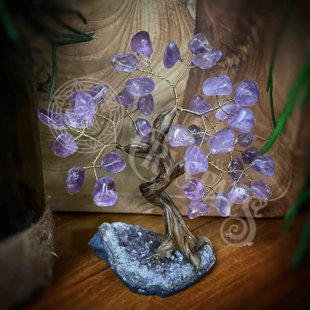 Crystal Tree - Of Life Money Feng Shui Multi Choice 6.0’ 7.0’ Amethyst Accessories Trees