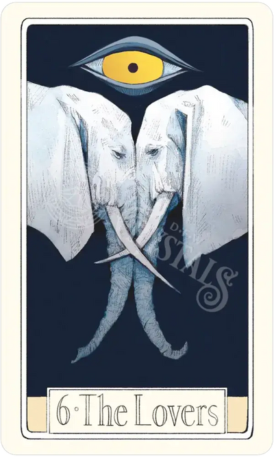 Curious Travels Tarot Deck Decks -