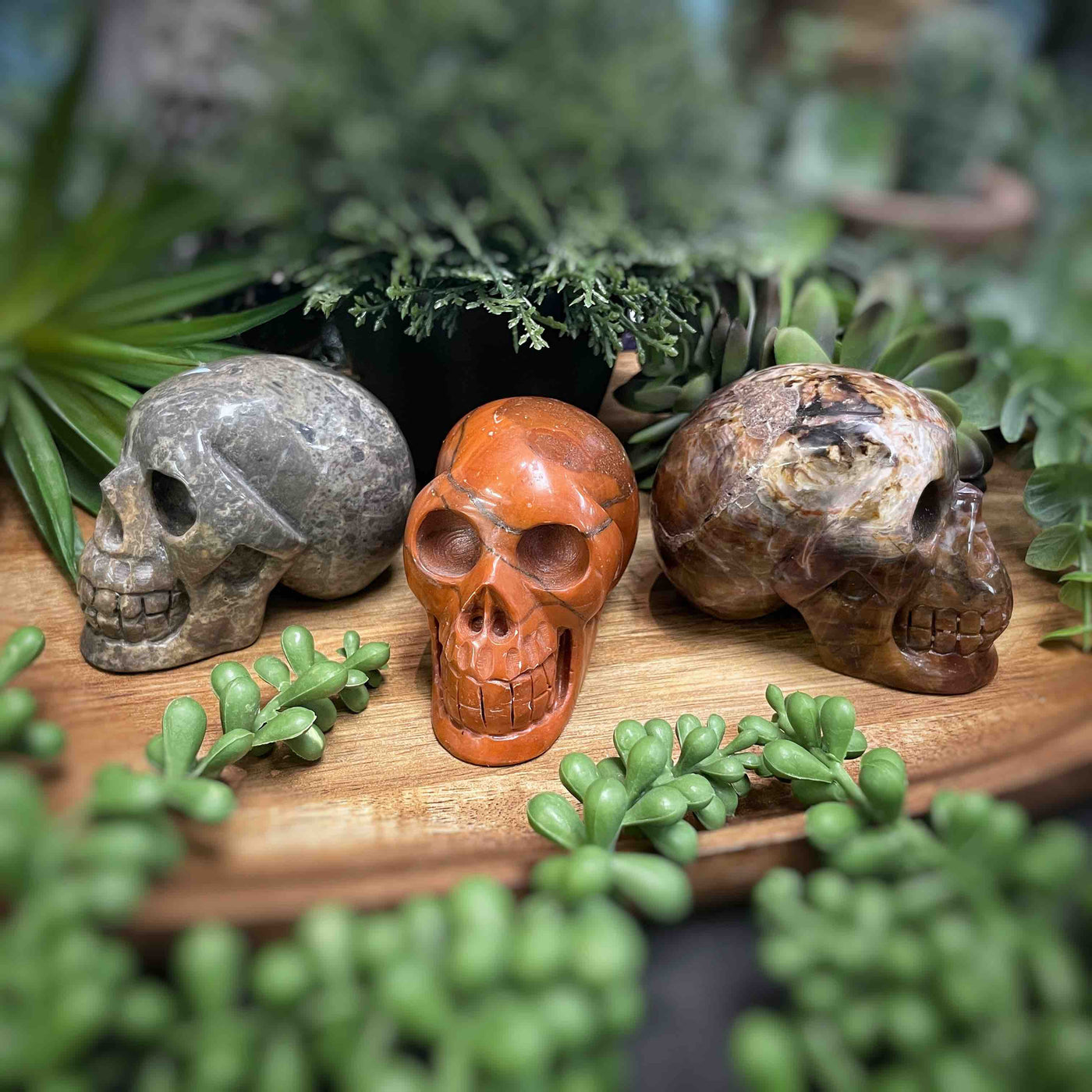 Jasper - Skull