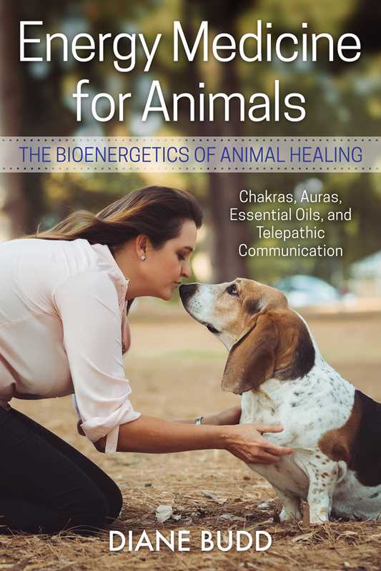 Energy Medicine for Animals by Diane Budd: Paperback; 192 pages / English