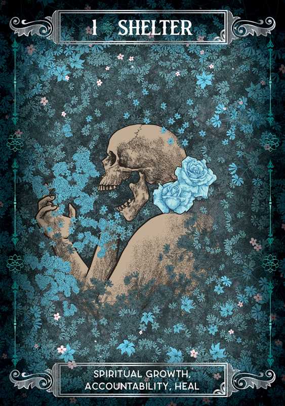 Earth & Bone Oracle by Sirian Shadow: Flashcards; 112 pages / English