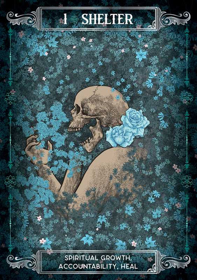 Earth & Bone Oracle by Sirian Shadow: Flashcards; 112 pages / English