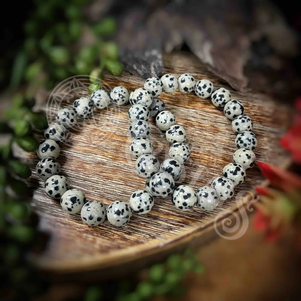 Bracelet - Dalmation Jasper 10Mm Crystals