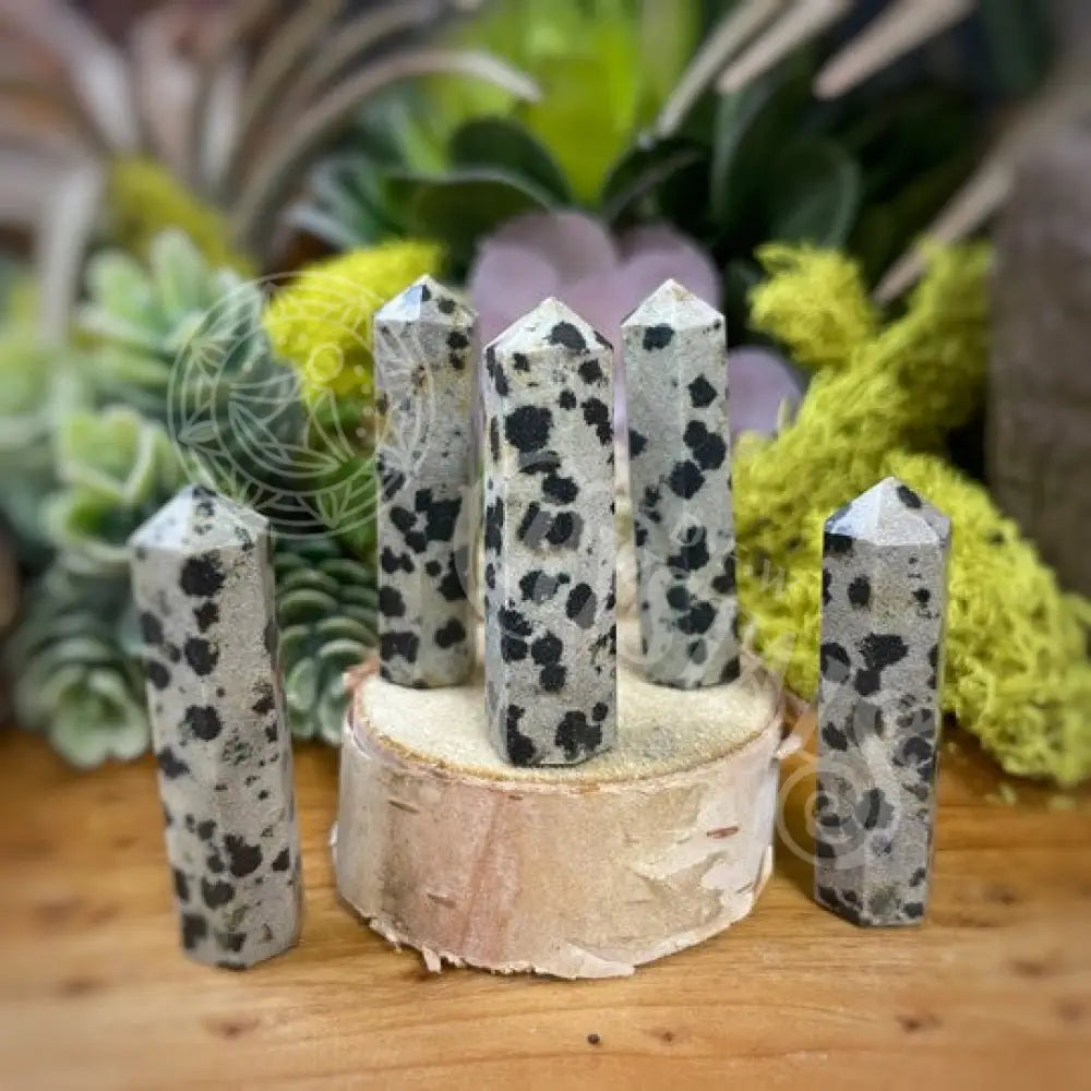 Tower Point Obelisk - Dalmation Jasper Mini Crystals