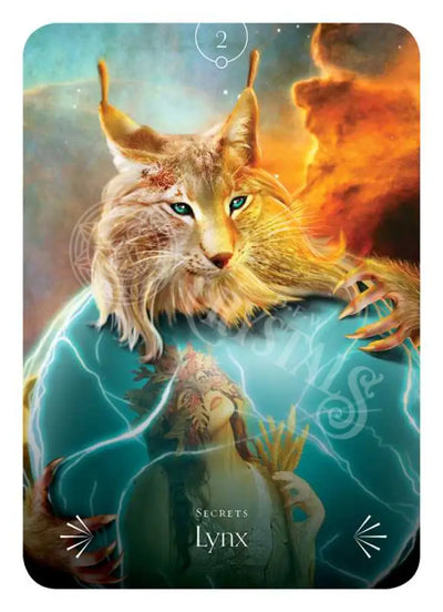 Divine Animals Oracle By Stacey Demarco: Boxed Set/Slip Cased/Casebound; 180 Pages / English