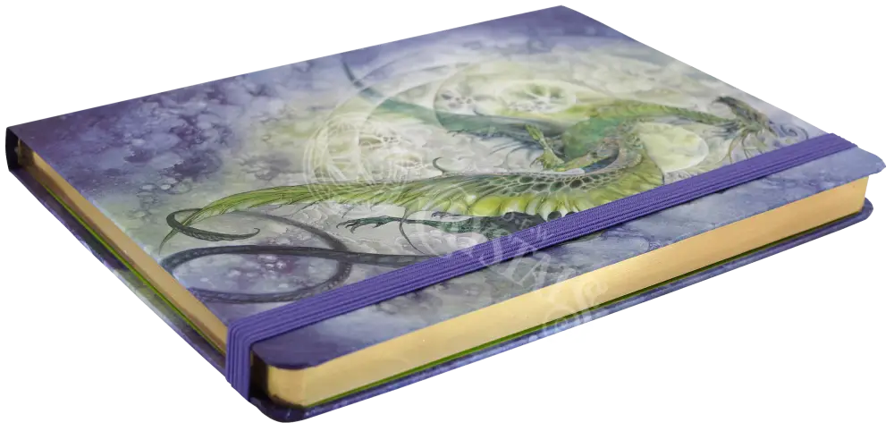 Dragon Journal Books -