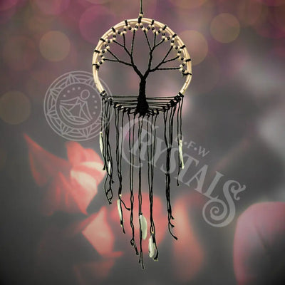 Dream Catcher - Tree Of Life Multi Size 12.5’ Black