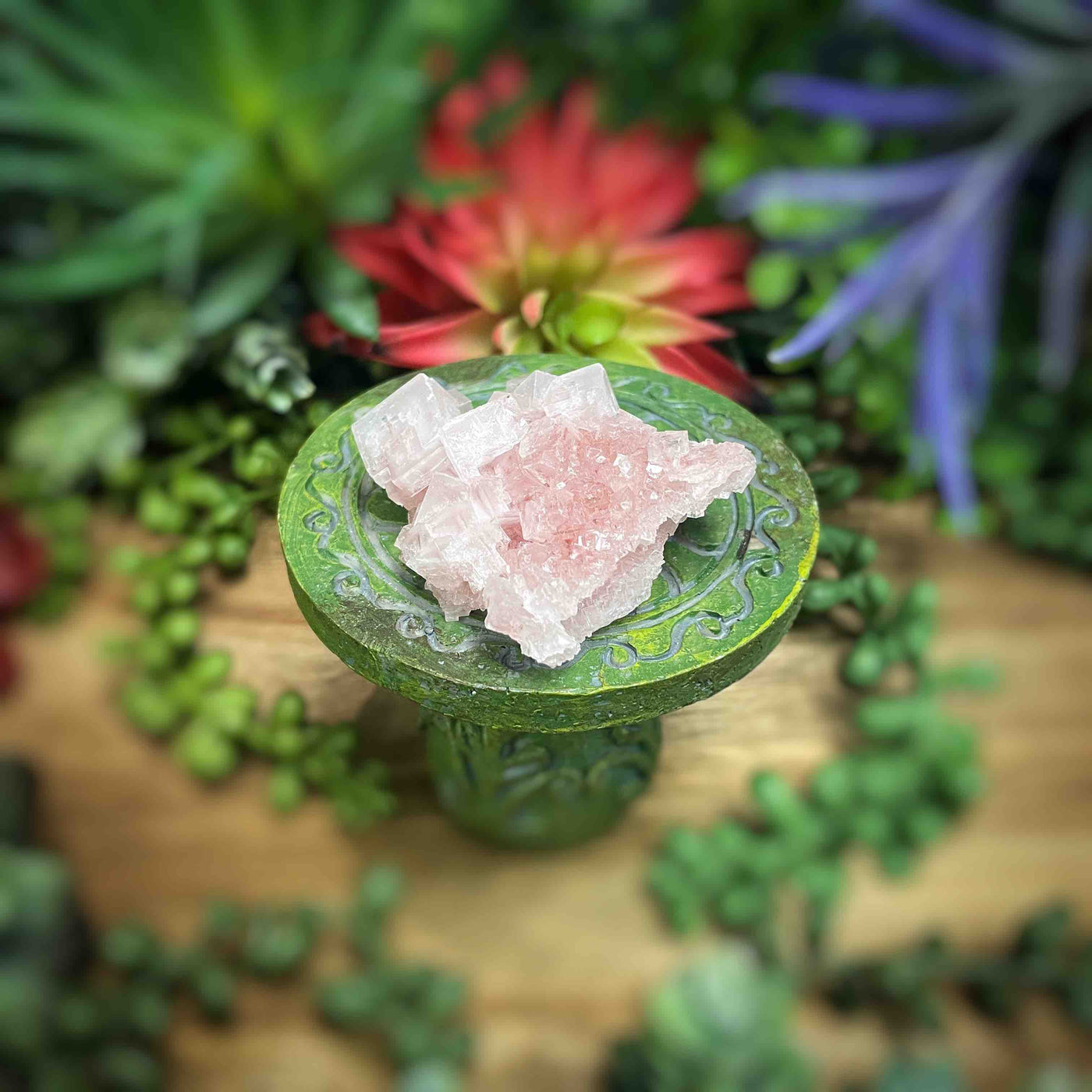 Pink Halite - Specimen - 2.25" - 3.4" - Set 1