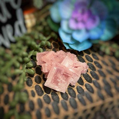 Pink Halite - Specimen - 2.25" - 3.4" - Set 1