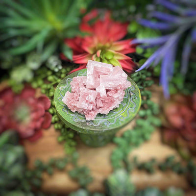 Pink Halite - Specimen - 3.3" - 3.6" - Set 2